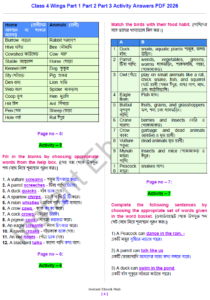class 4 wings part 1 part 2 part 3 activity